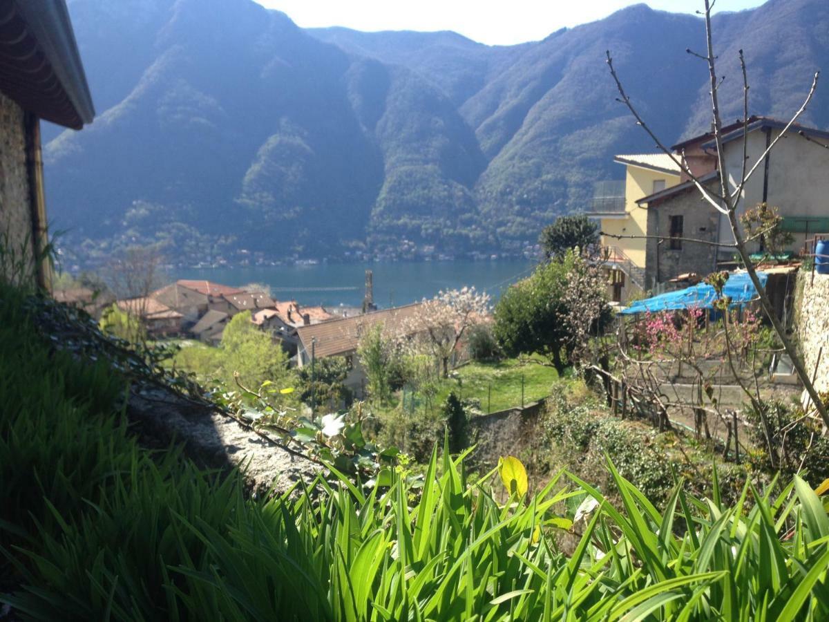 Il Mulino Di Hotel Villa Aurora Nesso Eksteriør billede